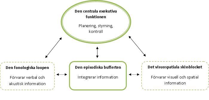 Arbetsminnets delar